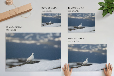 Poster em tela Pássaro na neve, paisagem invernal, delicadeza
