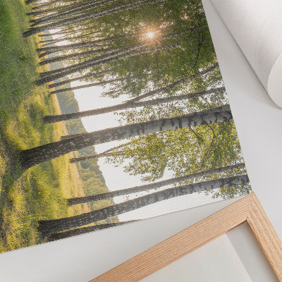 Poster mural Raios de sol simétricos em floresta de bétulas, verde