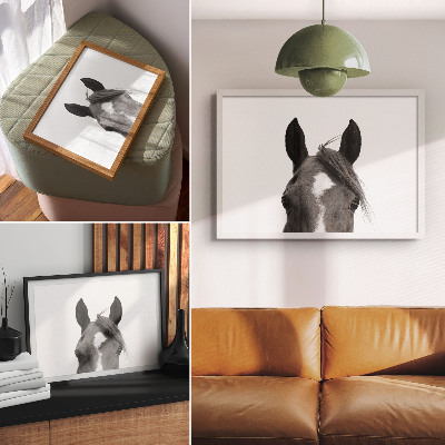 Poster mural Fotografia em preto e branco da elegância equina