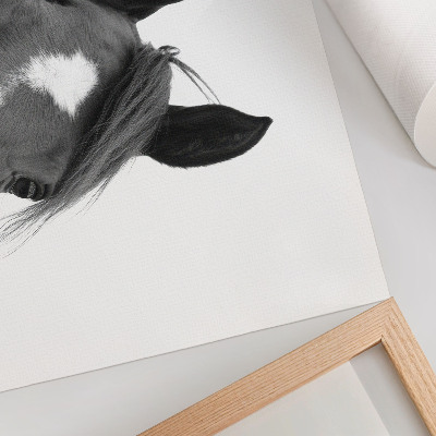Poster mural Fotografia em preto e branco da elegância equina