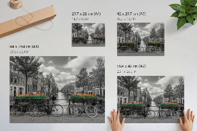 Poster em tela Uma vista encantadora do canal, bicicletas, tulipas, preto e laranja.