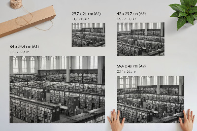 Poster Biblioteca clássica com estantes de madeira