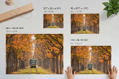 Pôster Túnel de Outono com Bonde para sala