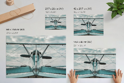 Poster mural Vista frontal de um biplano, elegância industrial