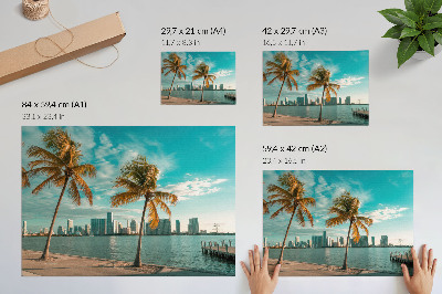 Poster Palmeiras, lago, arranha-céus, céu turquesa, calmaria