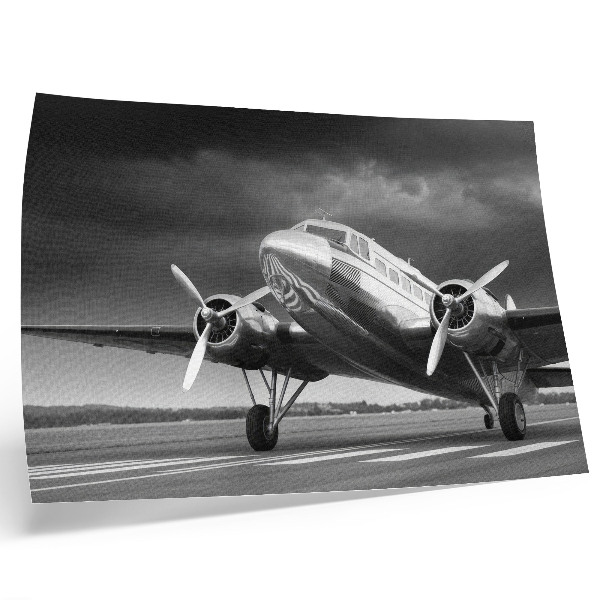 Poster em tela Avião antigo em cores monocromáticas
