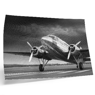Poster em tela Avião antigo em cores monocromáticas