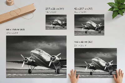 Poster em tela Avião antigo em cores monocromáticas
