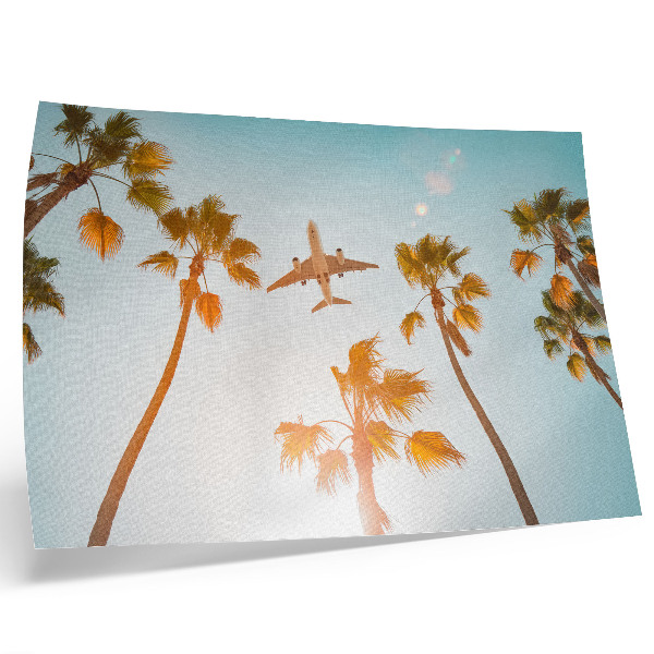 Poster para a sala Avião, palmeiras, céu azul, clima tropical