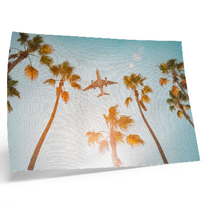 Poster para a sala Avião, palmeiras, céu azul, clima tropical