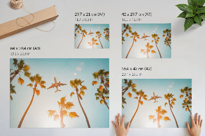Poster para a sala Avião, palmeiras, céu azul, clima tropical