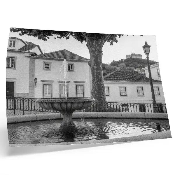 Poster mural com edifícios clássicos em preto e branco com castelo