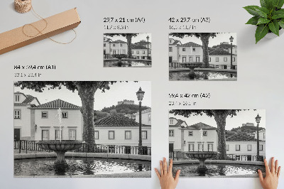 Poster mural fonte preta e branca edifícios clássicos castelo