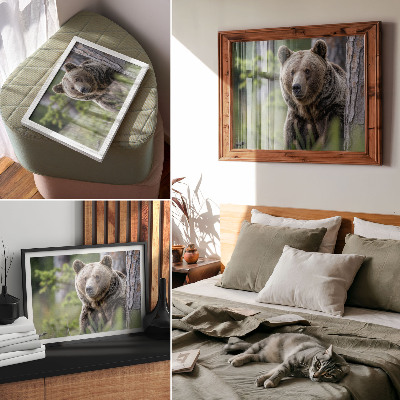 Poster para a sala Um urso em uma floresta repleta de encanto natural.