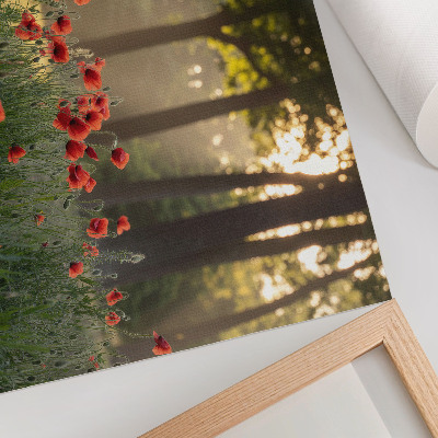 Poster em tela Papoulas vermelhas, floresta verde, raios de sol
