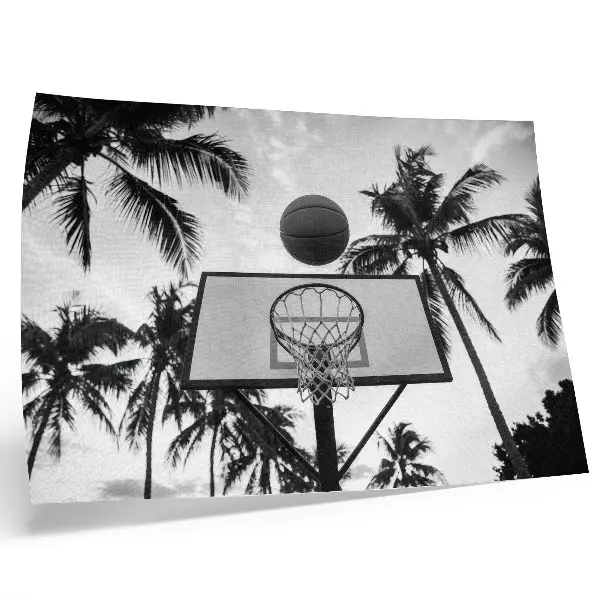 Poster em tela cesta de basquete entre palmeiras em fundo preto e branco