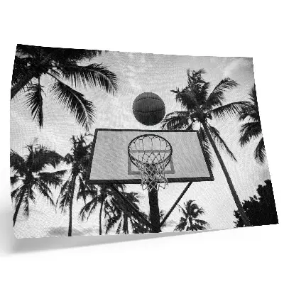 Poster em tela cesta de basquete entre palmeiras em fundo preto e branco
