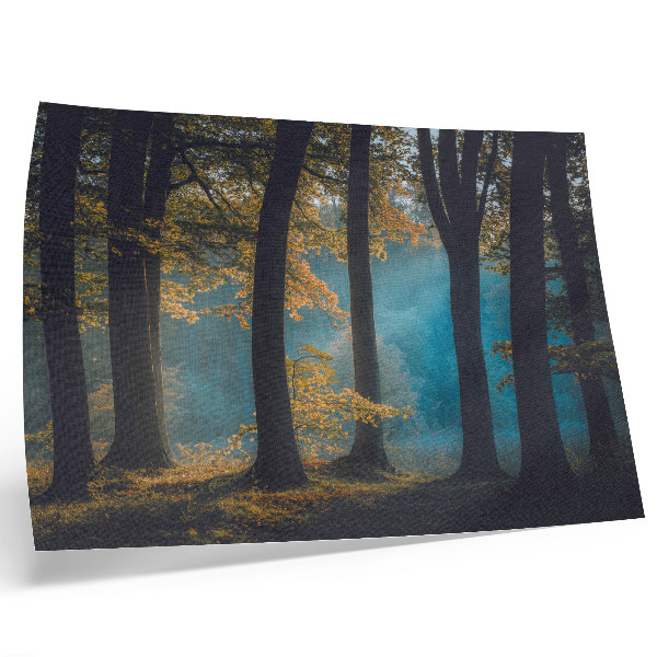 Poster em tela Floresta tranquila, sol da manhã, folhas coloridas