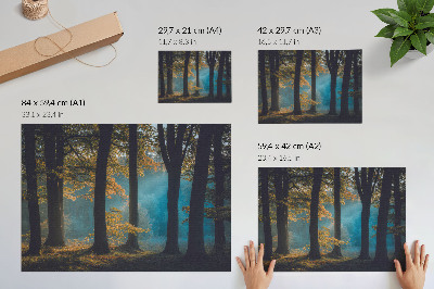 Poster em tela Floresta tranquila, sol da manhã, folhas coloridas