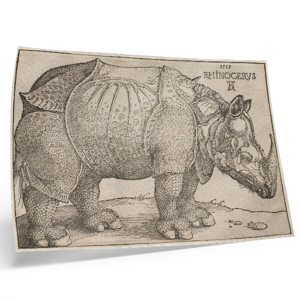 Poster para a sala Rinoceronte (1515) de Albrecht Dürer