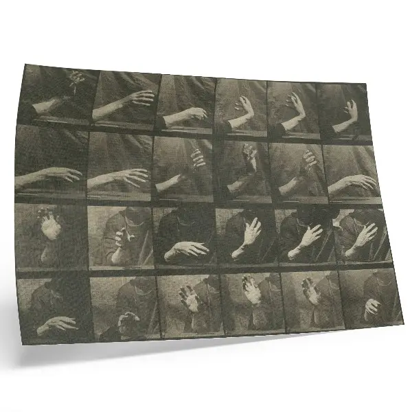 Poster de Locomoção Animal, Prancha 535 (1887) por Eadweard Muybridge poster da obra Locomoção Animal, Prancha 535 (1887) de Eadweard Muybridge
