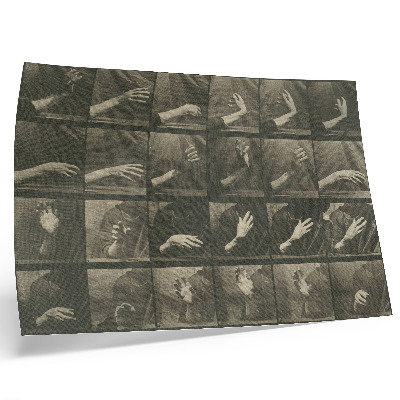 Poster Locomoção Animal, Prancha 535 (1887) por Eadweard Muybridge