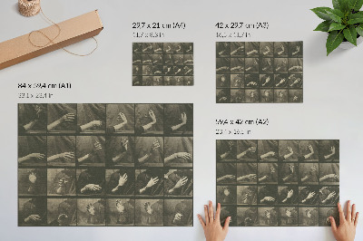 Poster Locomoção Animal, Prancha 535 (1887) por Eadweard Muybridge