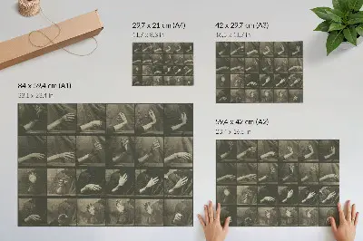 Poster de Locomoção Animal, Prancha 535 (1887) por Eadweard Muybridge poster da obra Locomoção Animal, Prancha 535 (1887) de Eadweard Muybridge