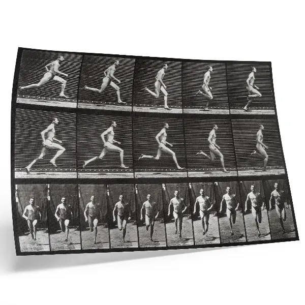 Poster de Locomoção Animal prancha 60 de 1887 fotografada por Eadweard Muybridge para sala