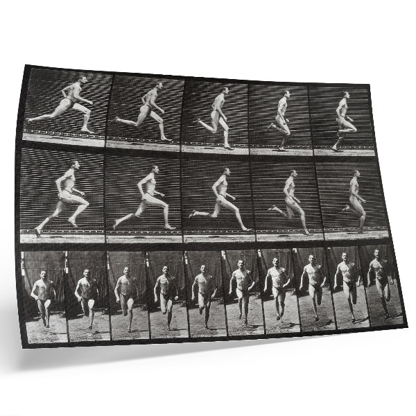 Poster para a sala Prancha 60 de Locomoção Animal (1887), fotografada por Eadweard Muybridge.