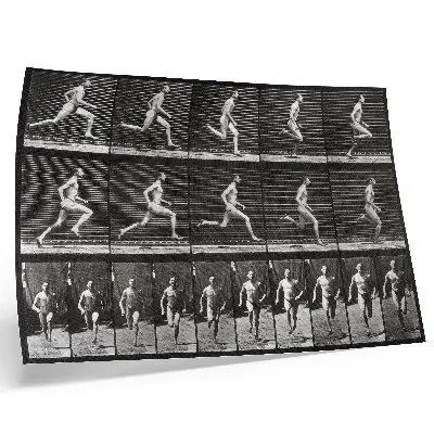 Poster de Locomoção Animal prancha 60 de 1887 fotografada por Eadweard Muybridge para sala