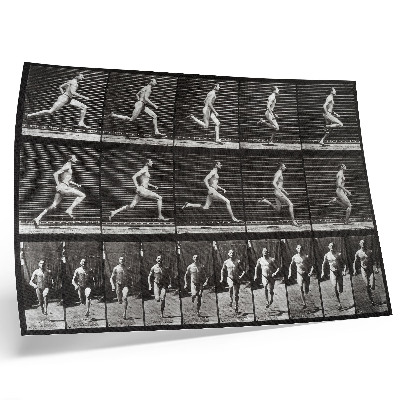 Poster para a sala Prancha 60 de Locomoção Animal (1887), fotografada por Eadweard Muybridge.