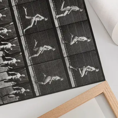 Poster de Locomoção Animal prancha 60 de 1887 fotografada por Eadweard Muybridge para sala