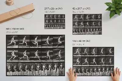 Poster de Locomoção Animal prancha 60 de 1887 fotografada por Eadweard Muybridge para sala