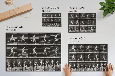 Poster para a sala Prancha 60 de Locomoção Animal (1887), fotografada por Eadweard Muybridge.