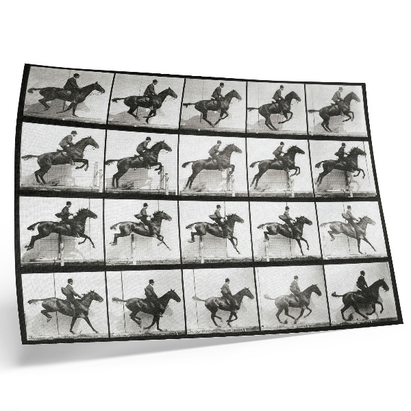 Poster mural Prancha 640 de Locomoção Animal (1887), cavalgada fotografada por Eadweard Muybridge.
