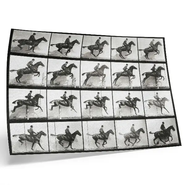 Pôster mural Prancha 640 de Locomoção Animal (1887) com cavalgada fotografada por Eadweard Muybridge