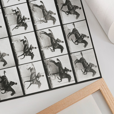 Poster mural Prancha 640 de Locomoção Animal (1887), cavalgada fotografada por Eadweard Muybridge.