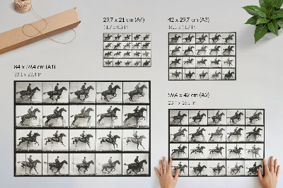 Poster mural Prancha 640 de Locomoção Animal (1887), cavalgada fotografada por Eadweard Muybridge.