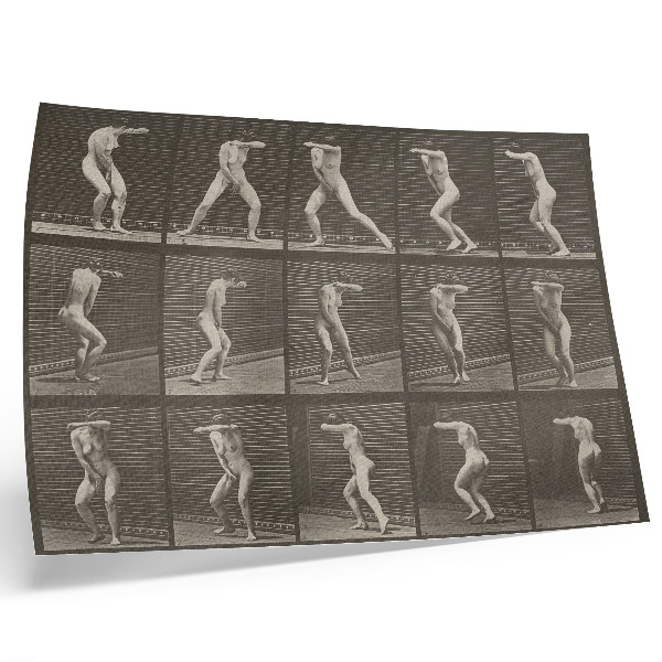 Poster Placa número 73. Virando-se de surpresa e fugindo (1887) por Eadweard Muybridge