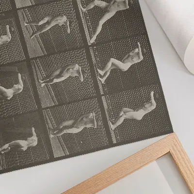Poster da obra Placa número 73. Virando-se de surpresa e fugindo (1887) de Eadweard Muybridge impressão artística de alta qualidade