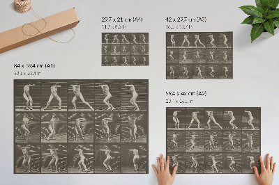 Poster Placa número 73. Virando-se de surpresa e fugindo (1887) por Eadweard Muybridge