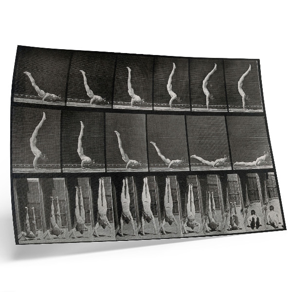 Poster para a sala Homem em pé sobre as mãos, partindo de posição supina. Fototipia de Eadweard Muybridge, 1887.