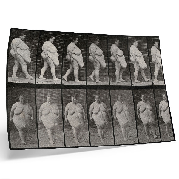 Poster mural Mulher obesa caminhando. Fototipia de Eadweard Muybridge, 1887.