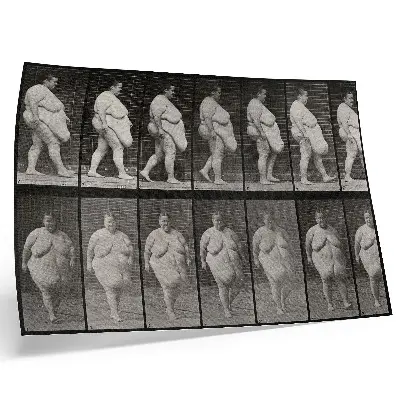 Pôster mural mulher obesa caminhando, fototipia de Eadweard Muybridge de 1887