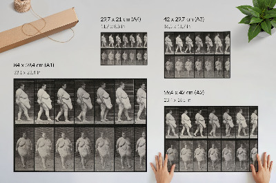 Poster mural Mulher obesa caminhando. Fototipia de Eadweard Muybridge, 1887.