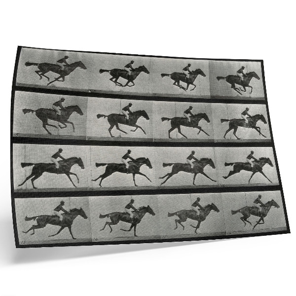 Poster Cavalo e cavaleiro em galope. Fototipo de Eadweard Muybridge, 1887.