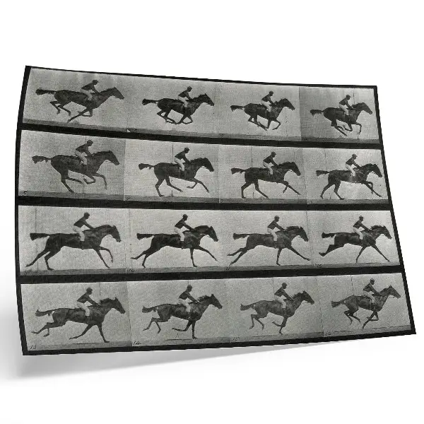 Poster cavalo e cavaleiro em galope, fototipo de Eadweard Muybridge de 1887