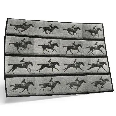 Poster cavalo e cavaleiro em galope, fototipo de Eadweard Muybridge de 1887