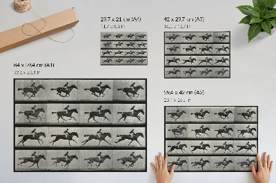 Poster Cavalo e cavaleiro em galope. Fototipo de Eadweard Muybridge, 1887.